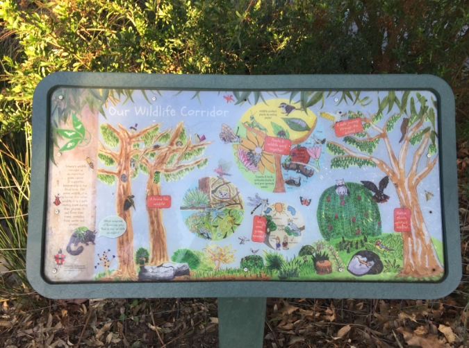 /uploaded_files/media/gallery/1544057824Bio 6.jpg